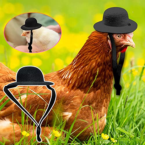 6-12 Pieces Fashion Chicken Hats For Hens, Adjustable Elastic Chin Strap Hat, Tiny Pets Funny Chicken Accessories For Rooster Duck Parrot Poultry Stylish Show Costum (A/6Pcs) #TOP1