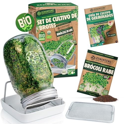 zengreens® Kit de Cultivo de brotes Bio - Set de 1, 2 o 3 tarros de germinación - Incluye Tarro germinador, Bandeja de Cultivo y Semillas para brotes - Incl. guía y videocurso Online