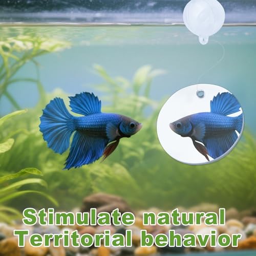 Image of 2 Pcs Betta Fish Exercise Ring and Betta Mirror Set,Betta Ring Enrichment Toys,Betta Toys Suitable for Fish Tank, Betta Tank, Betta Aquarium