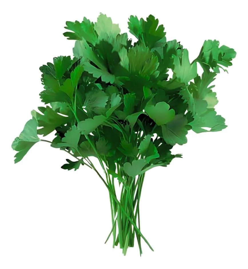 Kit 8 Cápsulas Salsa Stella HidroGarden – Sementes + Nutrientes A...