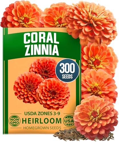 Image of HOME GROWN Coral Zinnia Seeds (1g) - 300 Zinnia elegans Annual Flower Seeds for Planting Outdoors - Heat Tolerant Easy Summer Flowers to Plant - Herb Seed Companion for Pollinator Garden Beds for 2026