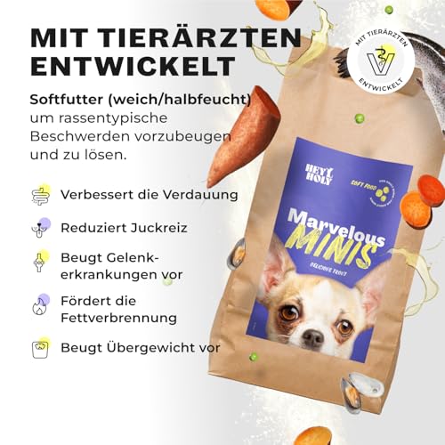 HEY HOLY Hundefutter Soft für Minis 100% getreidefrei | Softfutter | 2.5 kg weiches Trockenfutter für ausgewachsene Minis mit Forelle | Hochverträglich aus natürlichen Zutaten