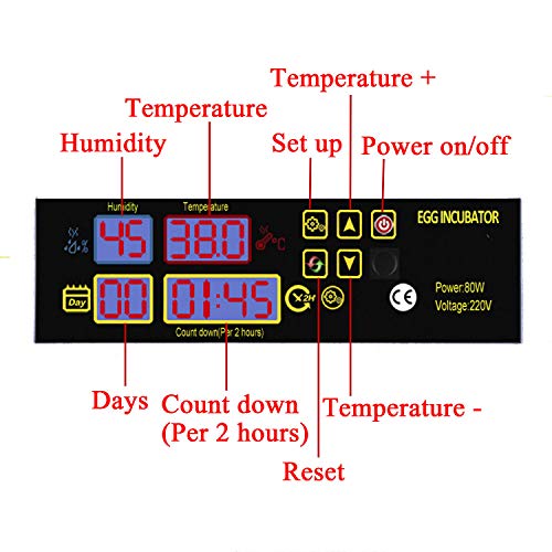 Incubatrice Automatica per 56 Uova Uova Controllo