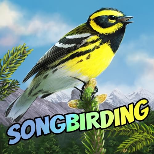 Songbirding Podcast Por Rob Porter arte de portada