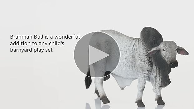 PRE-ASSEMBLEDCOLLECTION BRAHMAN ELEPHAN