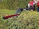 Einhell Elektro-Heckenschere GC-EH 6055/1 (600 W, 2.800 Schnitte/Min., Schnittgutsammler, Kabelzugentlastung, Zusatzhandgriff, Softgrip, Zweihand-Sicherheitsschalter)