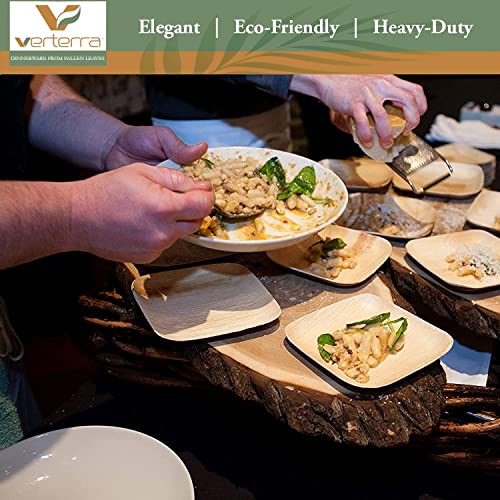 Verterra 6-Inch Palm Leaf Plate, Square Premium Heavy Duty, Eco-Friendly, Dinnerware Like Bamboo for Wedding, Events Party (25-Pack)