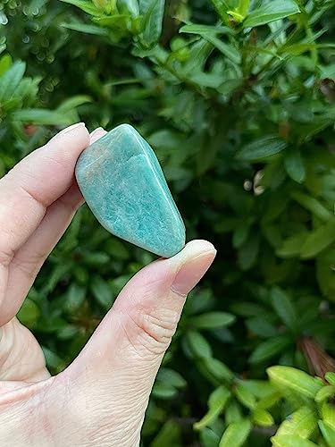 Image of 1 /2 lb Polished Amazonite Tumbled Stones - Natural Gemstone, Healing Crystals (Amazonite)