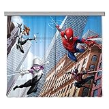  AG ART - Cortinas de Disney Marvel Avengers Spiderman Miles Morales – 4 personajes – 2 piezas de 180 x 160 cm