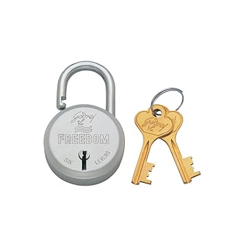 Godrej Locks Freedom 6 Levers Solidex Padlock with 2 Keys (Aluminium)