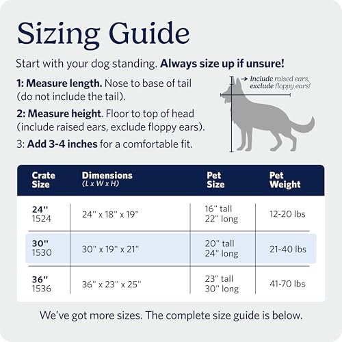 MidWest Homes for Pets iCrate Hundebox, klappbar, 1 Tür, Trennwand, auslaufsichere Bodenwanne, sichere Verriegelungen, Drahtgitterbox für mittelgroße Rassen, tragbar, robust, einfacher Aufbau, 76 cm
