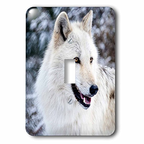Cache interrupteur Rocky Mountain Grey Wolf 3dRose lsp_173721_1 finition luxe