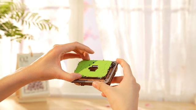 Amazon.com: Rowood 3D Wooden Puzzles for Adults,Mother's Day DIY