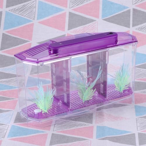 Aquarium auto-nettoyant carré en plastique PLAFOPE à 3 compartiments