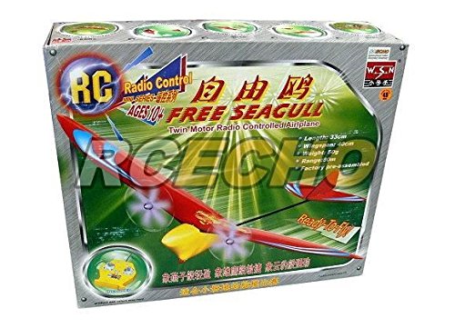 Avion RC double moteur Free Seagull WSN pour maîtriser le vol face au vent