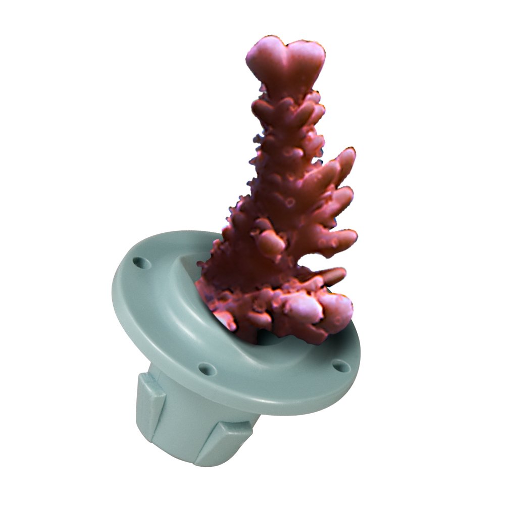 Via Aqua Coral Propagation Plugs (10 Pack)