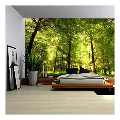 New Product wall26 - Crowded Forest Mural - Wall Mural, Removable Sticker, Home Decor - 66x96 inches