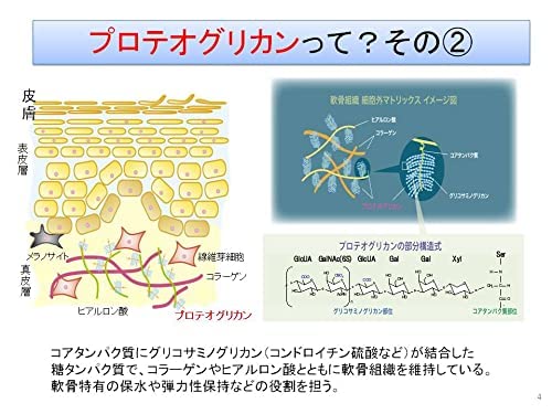 Amazon | epier 海軟骨の力 プロテオグリカン サプリ 90粒 (30日分) Ⅱ