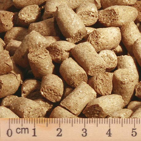 Hundefutter | Windspiel Power | Trockenfutter mit Lammfleisch & Weizenmehl | Single Protein | für Windhunde (12 Kg)