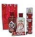 Bath & Body Works WINTER CANDY APPLE Gift Bag