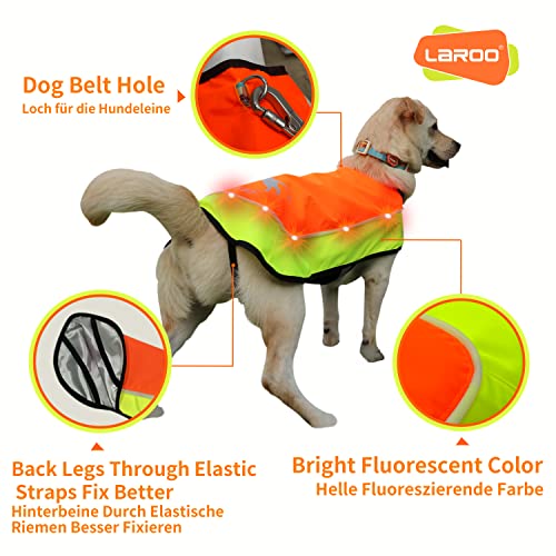 LaRoo Hunderegenmantel, Leuchtendes LED Wasserdicht Winter Reflektierende Regenmantel für Hunde mit Bauchschutz,USB Wiederaufladbarem Sicherheitsweste für Kleine Grosse Hunde(M,Fluoreszierende Orange)