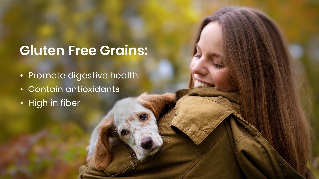 orijen regional red dog food Orijen Dry Dog Food