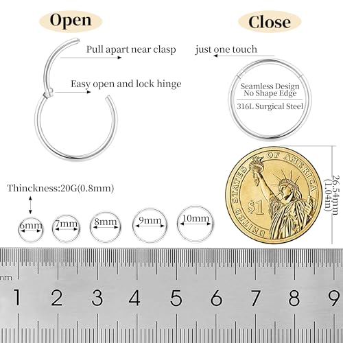 10Pcs 18G 20G Surgical Steel Nose Rings Hoops for Women Men Hinged Seamless Clicker Nose Hoops Cartilage Helix Tragus Daith Sleeper Earrings Hoop Hypoallergenic Nose Piercing 6/7/8/9/10MM4
