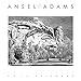 Ansel Adams 2016 Engagement Calendar