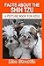 Facts About the Shih Tzu (A Picture Book for Kids, Vol 260)