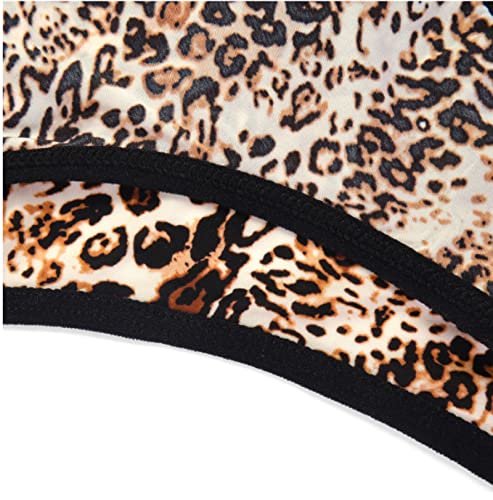 Banamic Women’s Seamless Underwear No Show Panties Soft Stretch Hipster Briefs Leopard #TOP6