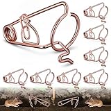 Enhon 8 Pièces Professionnel pour Campagnols Et Taupes, Pièges pour Campagnols en Fil d'acier Cuivré, sans Poison   Aucun Appât Nécessaire, Efficace Contre Les Et Les Taupes dans Le Jardin