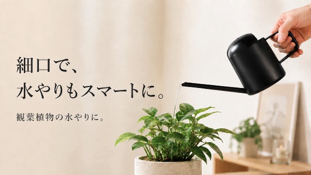 Amazon.co.jp: [flince] ジョウロ じょうろ 観葉植物 水差し 300g