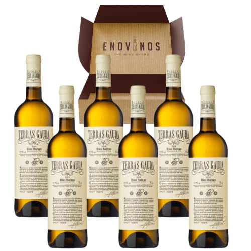 Vino Blanco Albariño Terras Gauda - 6 x Botellas de vino Albariño 75 cl - Vino Blanco Gallego - Nueva Añada Excelente 2024 - Rías Baixas - Envío 24H - Caja Reforzada - Mejor Selección ENOVINOS