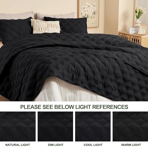 Image of Litanika Queen Quilt Bedding Set, Black Summer Lightweight Soft Comforter Bedspreads & Coverlets, Boho Farmhouse Bedding Cover Bed Decor All Season, 3 Pieces (1 Quilt, 2 Pillowcases)