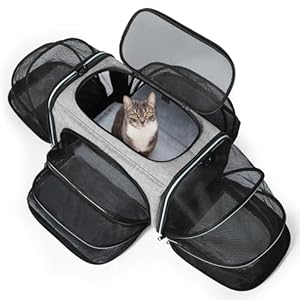 Siivton Cat Carrier,4 Sided Expandable Pet Carrier for Travel,Collapsible Soft-Sided Carriers with Removable Fleece Pad and Shoulder Straps,Airline Approved(17.5″x 11″x 11″)