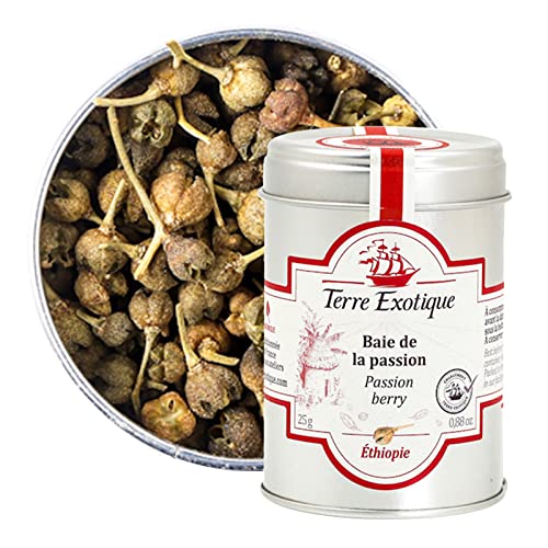 Terre Exotique (e[EGO]eBbN) pbVybp[ XpCX Ӟ 25g