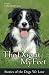 The Dog at My Feet: Stories of the Dogs We Love