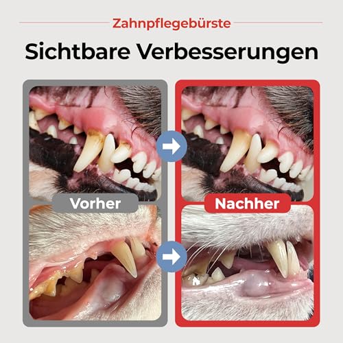 JAYU PET Zahnpflegebürste (Weiche Borsten) 1 Stück - Hunde Zahnbürste, Katzen Zahnbürste, Zahnpflege Kit für Kitten und kleine Hunde, entfernt Belag und Zahnstein