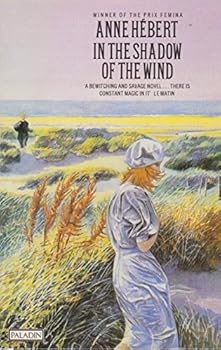 Paperback In Shadow of the Wind Book