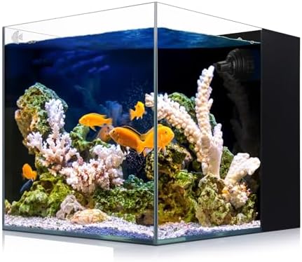 View of IOAOI Saltwater Aquarium, Glass, Rectangular, Fish, Pets/Aquariums ...