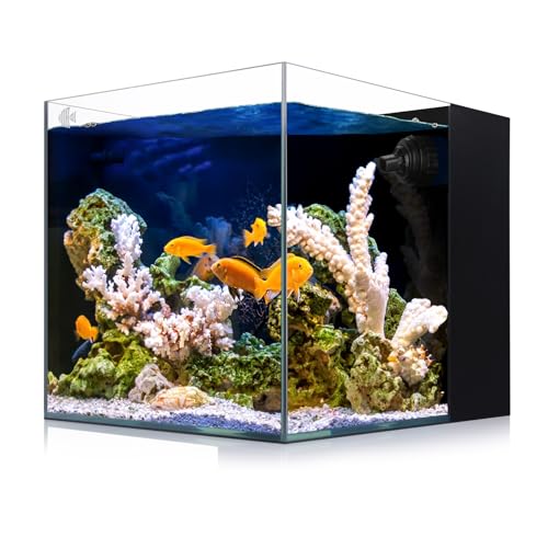 Coralland 8-Gallon Saltwater Aquarium - Ultra Clear Low Iron Glass