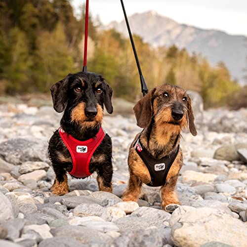 Vest Harness curli Clasp Softshell Red 2XS