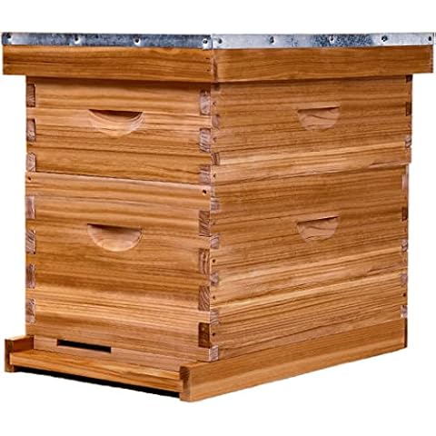 POLLIBEE Bienenstock-Set mit 8 Rahmen, komplettes Bienenstock-Set, Honigbienenstöcke, enthält 1 tiefe Bienenstock-Boxen, 1 Bienenstock-Rahmen und Grundierung Cover