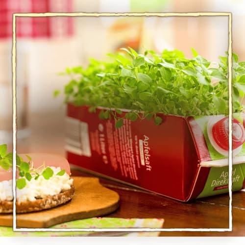 Microgreens - besser als Sprossen!