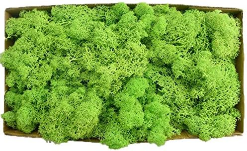 Warmiehomy Fake Artificial Moss for Crafting 130g Light Green Faux Moss for Arts and Crafts Christmas and Easter Decorations Landscaping - Image 3