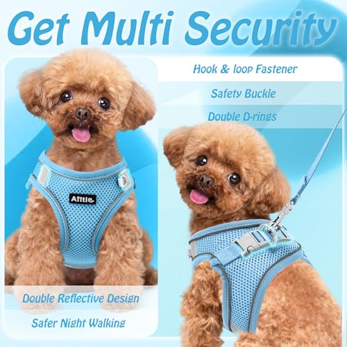 AIITLE No Pull Hundegeschirr, Step in einstellbares Hundegeschirr mit gepolsterter Weste, Hundeleine mit weichem gepolstertem Griff, leicht anzulegen für kleine und mittlere Hunde Reines Blau S