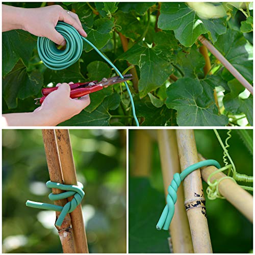 Ydsl Soft Plant Tie, Garden Wire Tie For Plants Heavy Duty Reusable Plant Twist Ties For Gardening Home Office (Green, 32.8 Feet) #TOP3