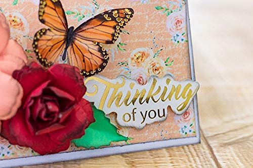 Paper Wishes – Cardmaking Box Kits Collection | Unique Craft Kits for Scrapbooking, Cardmaking, Gifts and All of Your DIY Crafting, Art and Creative Projects - Inspiration at Your Fingertips - Thumbnail 3