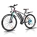 VIVI 26/27.5 Zoll E Bike Herren/Damen, Elektrofahrrad, E-Mountainbike, 36V/10,4AH Lithium-Ionen-Akku Ebike, Elektrofahrrad Pedelec Elektrisches Fahrrad mit Shimano 21-Gang Elektro Fahrrad, 4 Modes