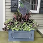 IDEALIST 60cm Plant Pot | Reinforced Stone Large Trough | Leaden Grey Chelsea Plant Pot | Rectangular Garden Planter with Drainage Holes L60 W30 H30 cm, 35 litres